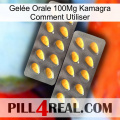 Gelée Orale 100Mg Kamagra Comment Utiliser cialis2